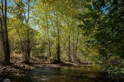 271 Bald Mountain Road