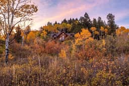 155 Forest Glen