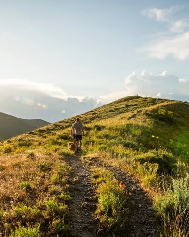 Ski, hike, and explore