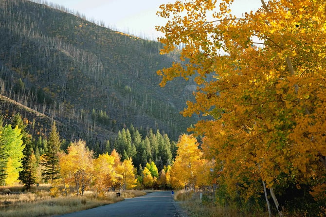 Warm springs