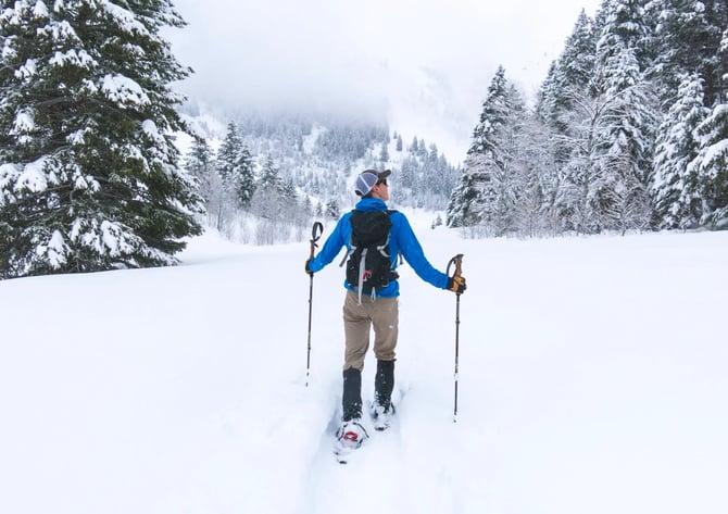 Winter Guide