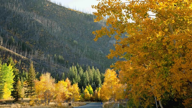 Warm Springs
